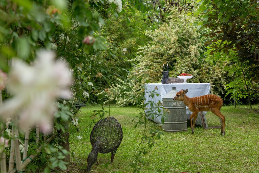 Ca'Bevilacqua Bed&Breakfast ベルティノーロ エクステリア 写真